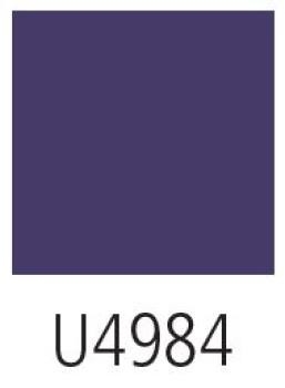 4461.U4984.2000